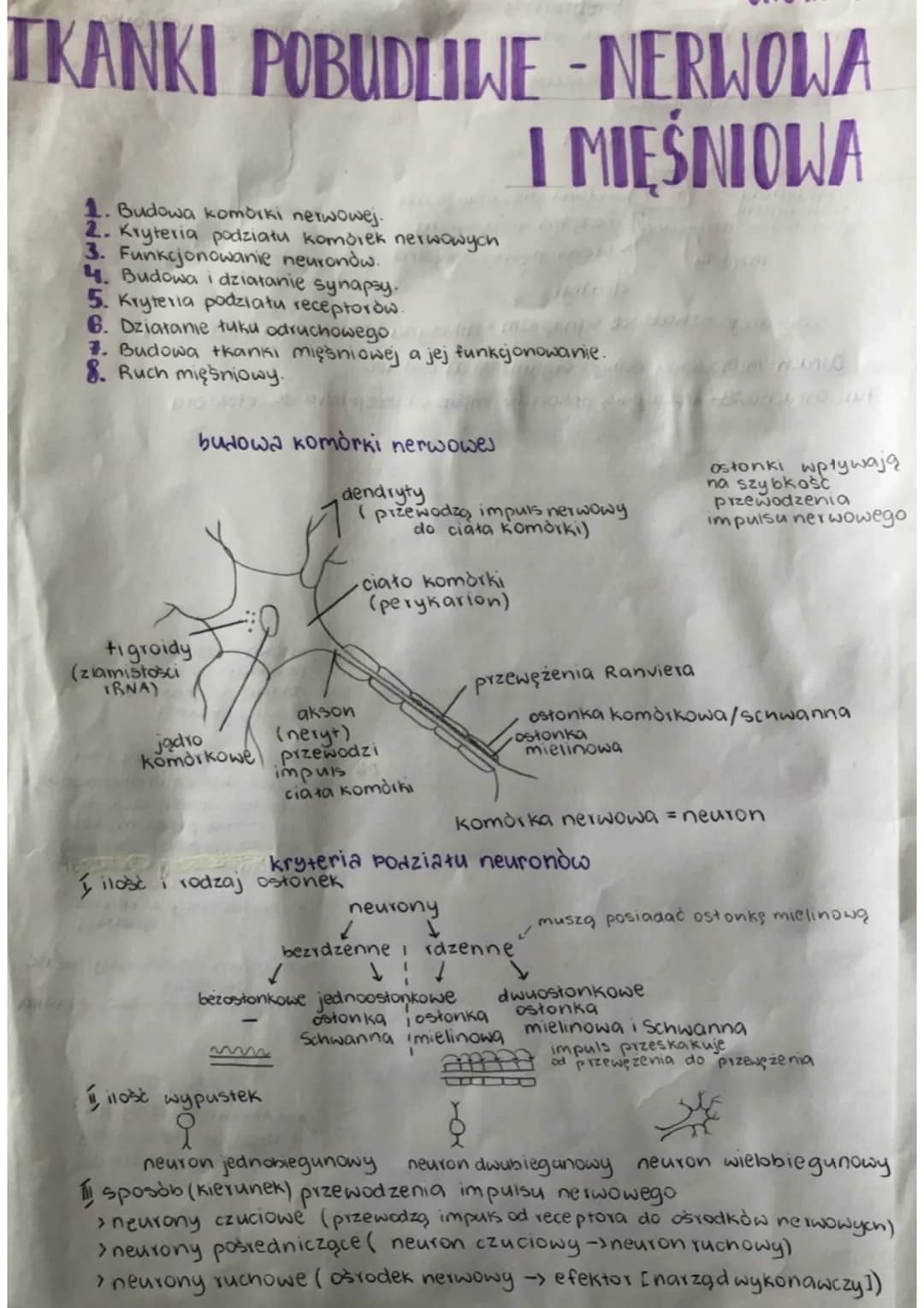 TKANKI
ΓΚΑΝΚΙ
1. Budowa komorki nerwowej.
2. Kryteria podziału komórek nerwowych
3. Funkcjonowanie neurondw.
4. Budowa i działanie synapsy.
