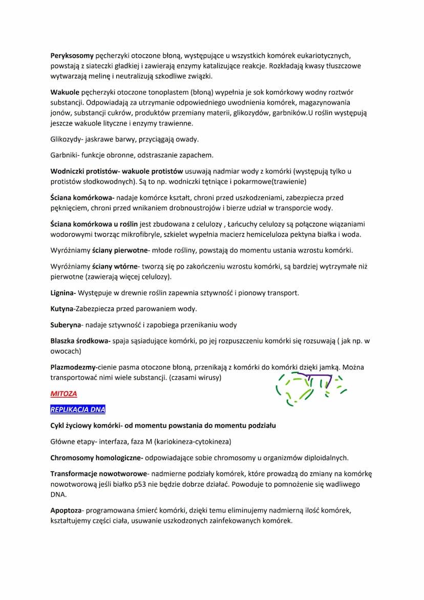 Organizmy jednokomórkowe- są zbudowane z jednej komórki, która wykonuje wszystkie funkcje
życiowe np. bakterie grzyby i protisty.
Formy kolo
