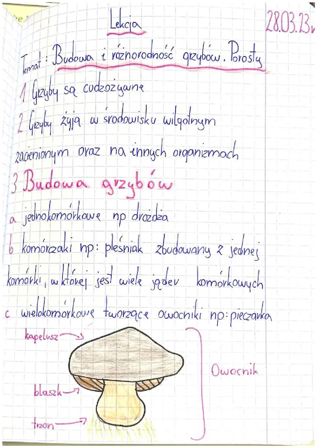 budowa i różnorodność grzybów.Porosty