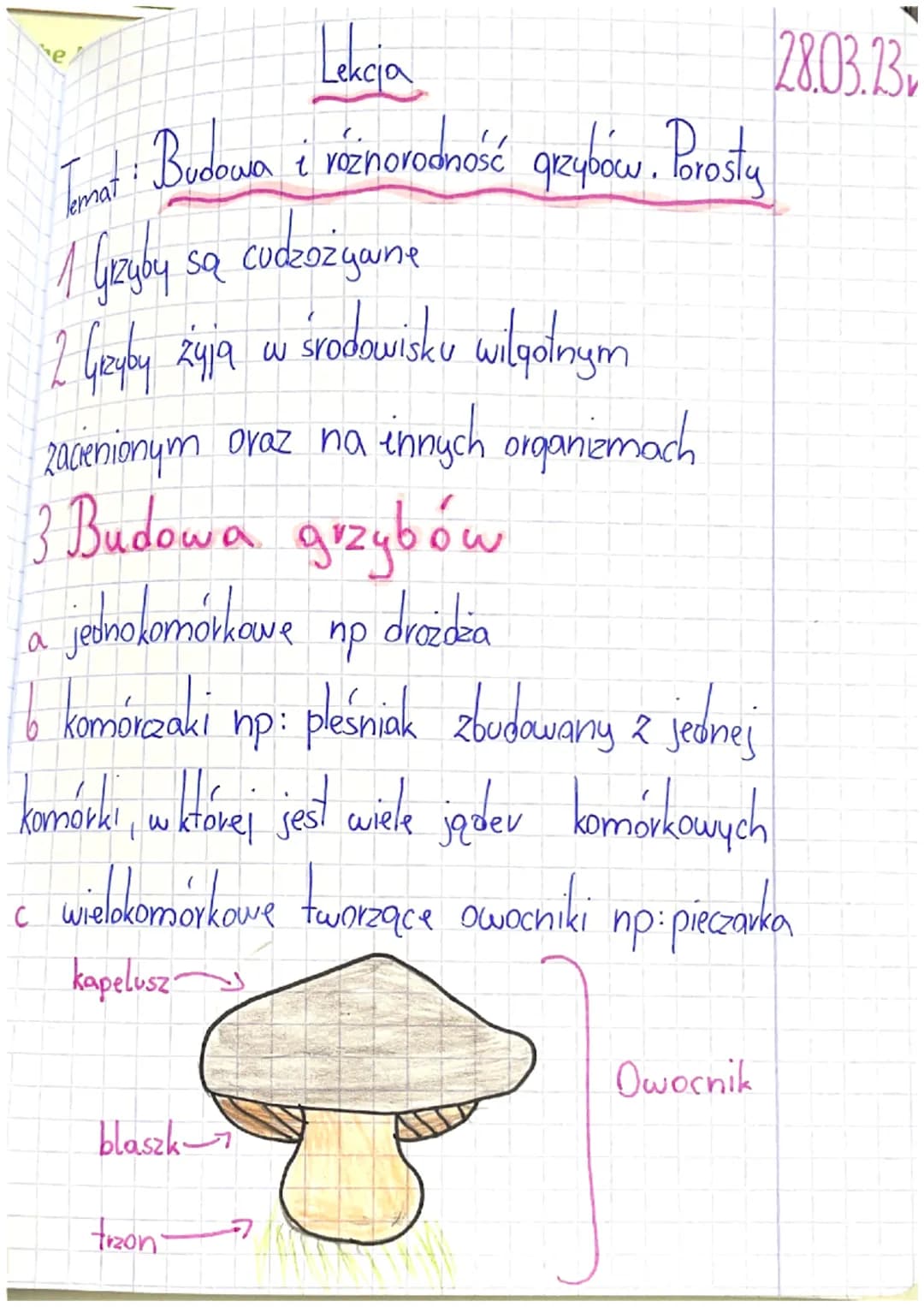 Lekcja
Imat Budowa i rżnorodność grzybow. Prosty
1 Grzyby
2 Geyby żyją w
с
sa
cudzoz youne
zacienionym oraz na innych organizmach
3 Budowa g