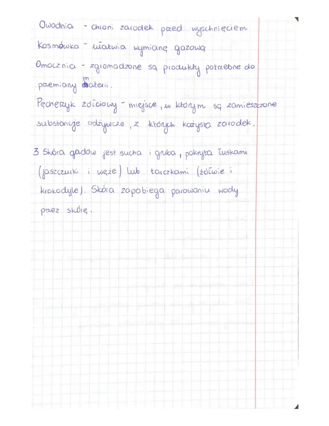 Świat
1. Podziai
gaddw i
a) zolwie; zow bictny
b) węże ;
9) jaszczurki; jaszczurka zwinka
d) krokodyle; aligator
gadow
2. Ogólna charakterys