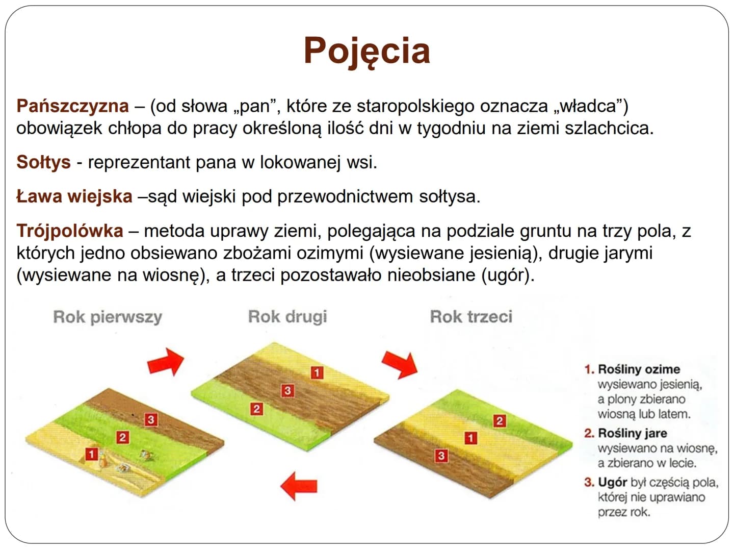 Średniowieczne miasto i wieś p.n.e.
n.e.
476 r.
UPADEK CESARSTWA
ZACHODNIORZYMSKIEGO
Oś czasu
średniowiecze
nowożytność XIX wiek współczesno