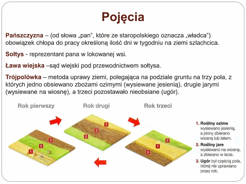 Średniowieczne miasto i wieś p.n.e.
n.e.
476 r.
UPADEK CESARSTWA
ZACHODNIORZYMSKIEGO
Oś czasu
średniowiecze
nowożytność XIX wiek współczesno