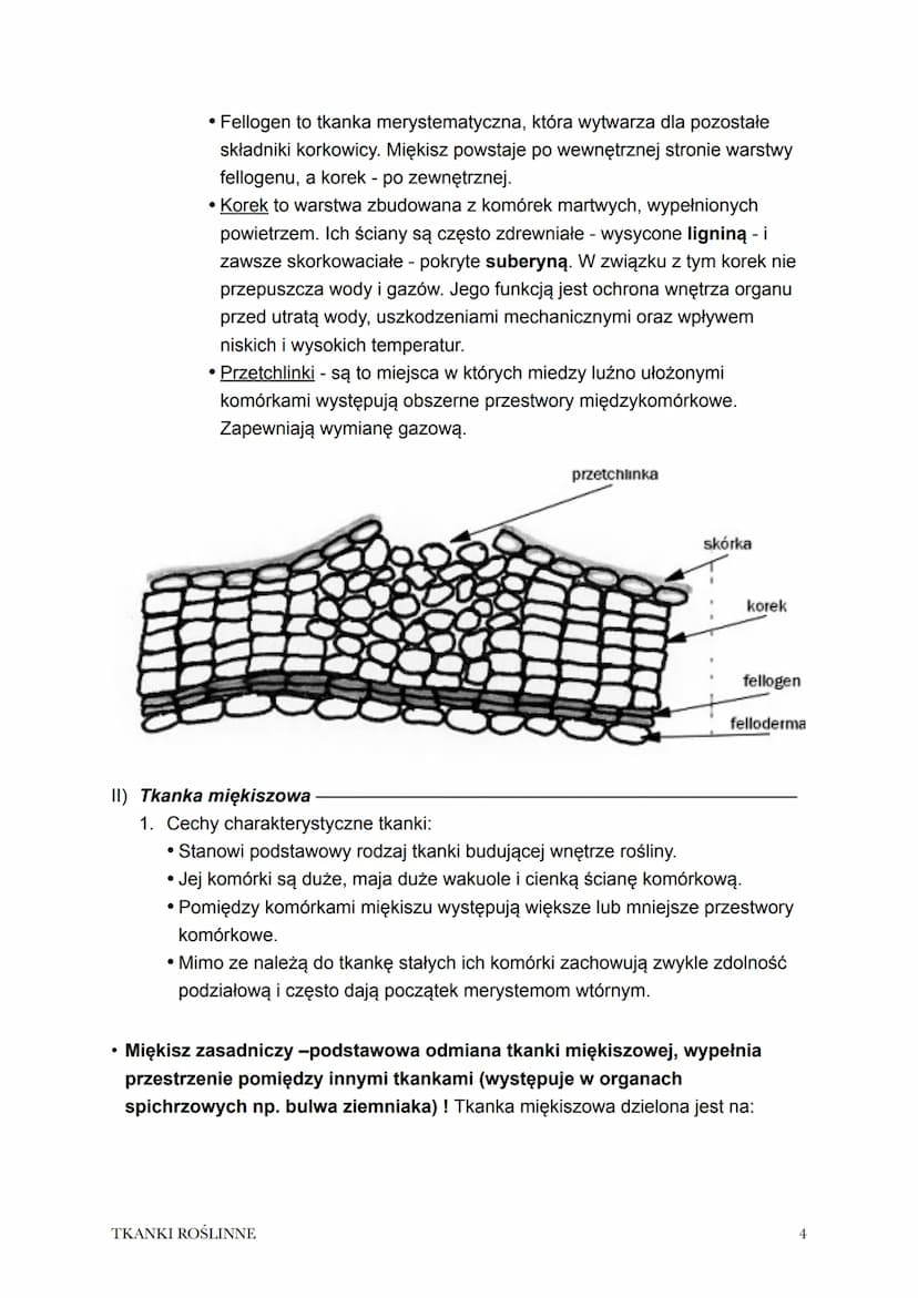 Temat: Tkanki roślinne.
1. Tkanka to zespół komórek o wspólnym pochodzeniu i podobnej budowie
współpracujących ze sobą w pełnieniu określony