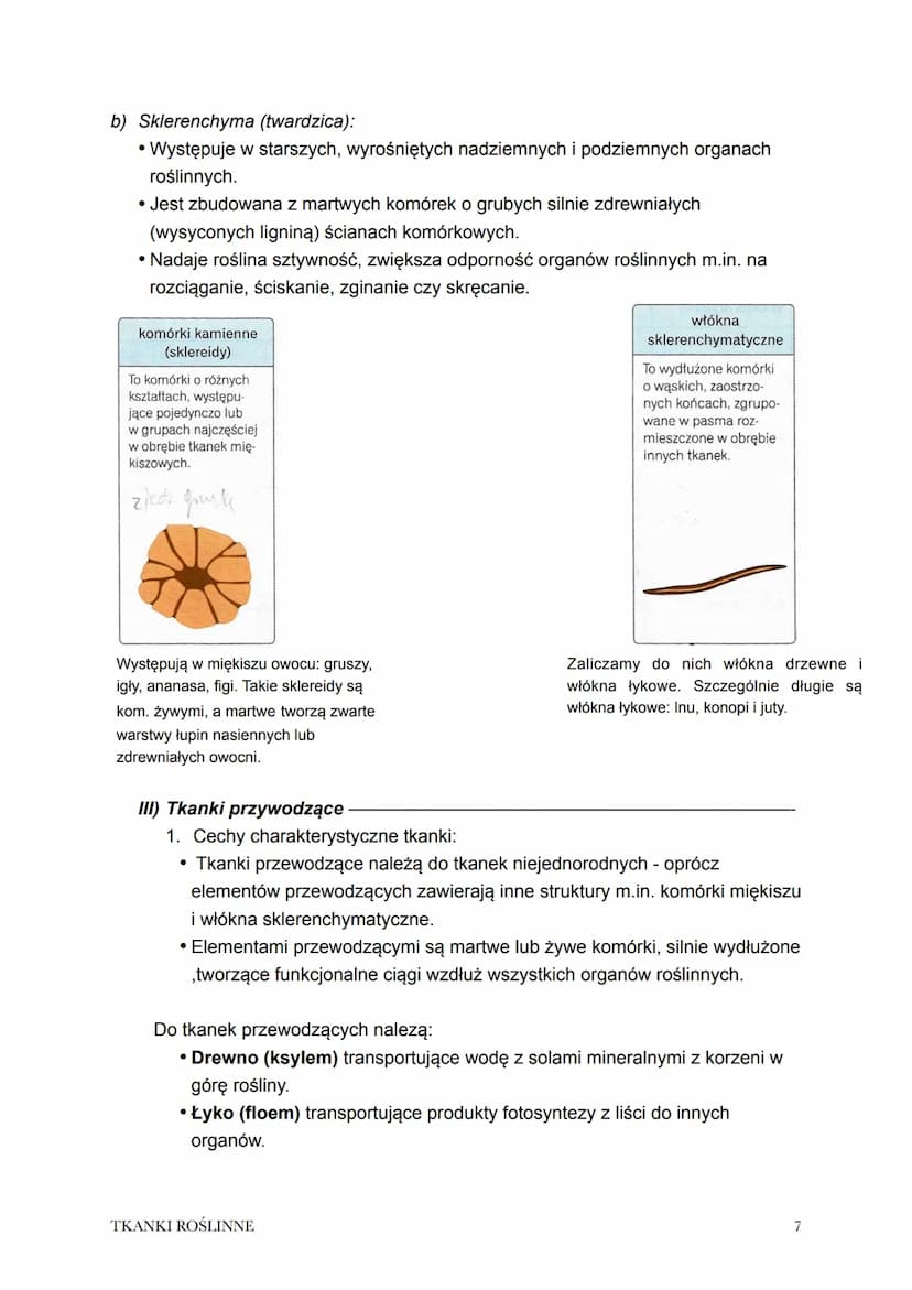 Temat: Tkanki roślinne.
1. Tkanka to zespół komórek o wspólnym pochodzeniu i podobnej budowie
współpracujących ze sobą w pełnieniu określony