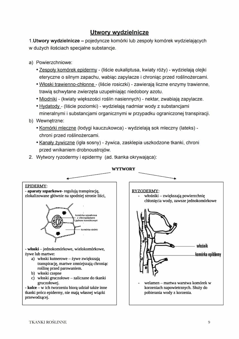 Temat: Tkanki roślinne.
1. Tkanka to zespół komórek o wspólnym pochodzeniu i podobnej budowie
współpracujących ze sobą w pełnieniu określony