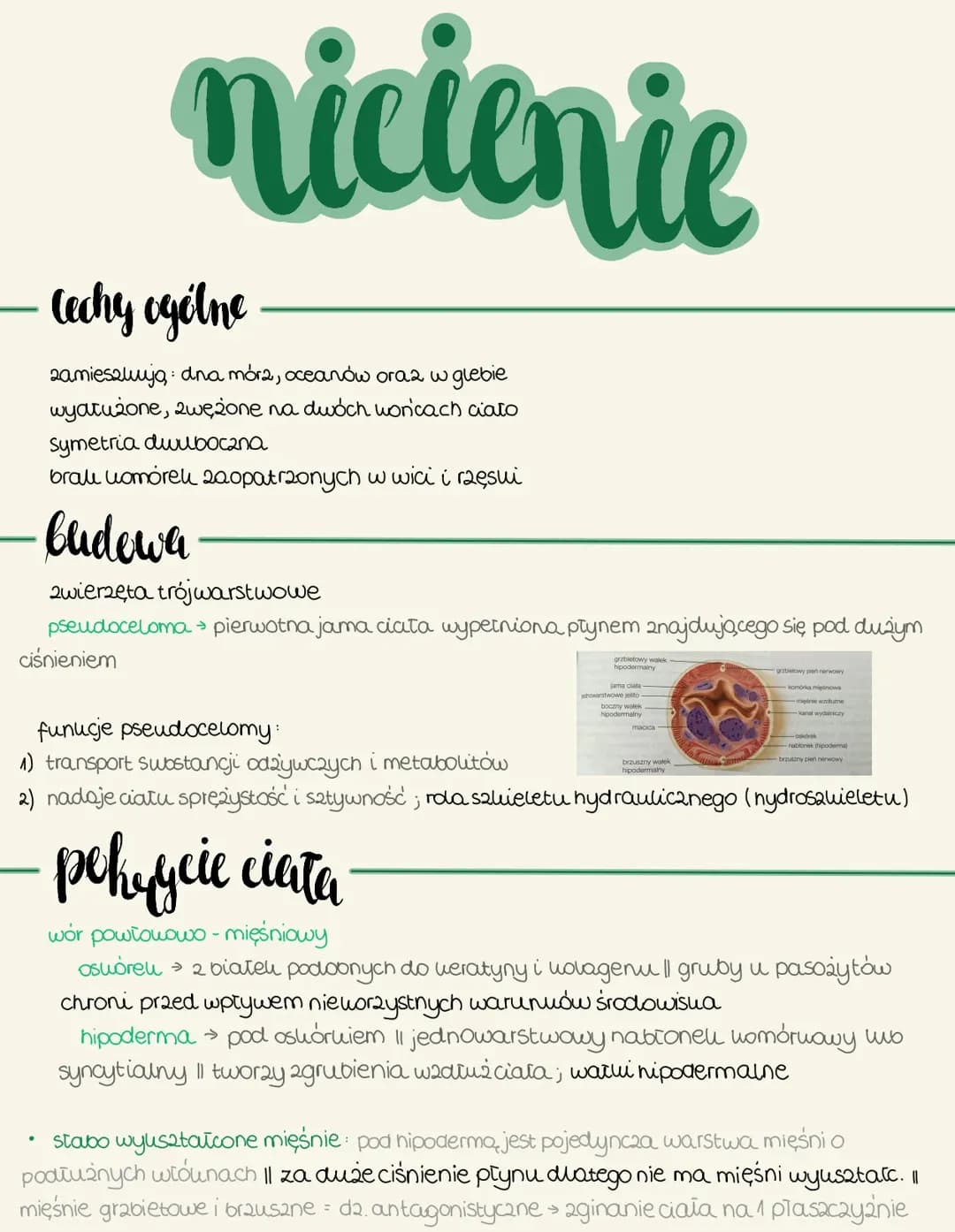 Nicienie