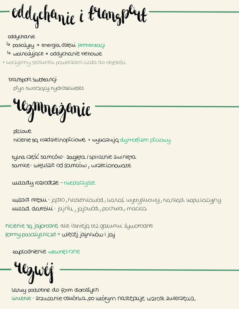 nicienie
Cechy ogólne
zamieszkują: dna mór2, oceanów oraz w glebie
wyatużone, zwężone na dwóch won'cach ato
Symetria dwubocana
brali komóreu