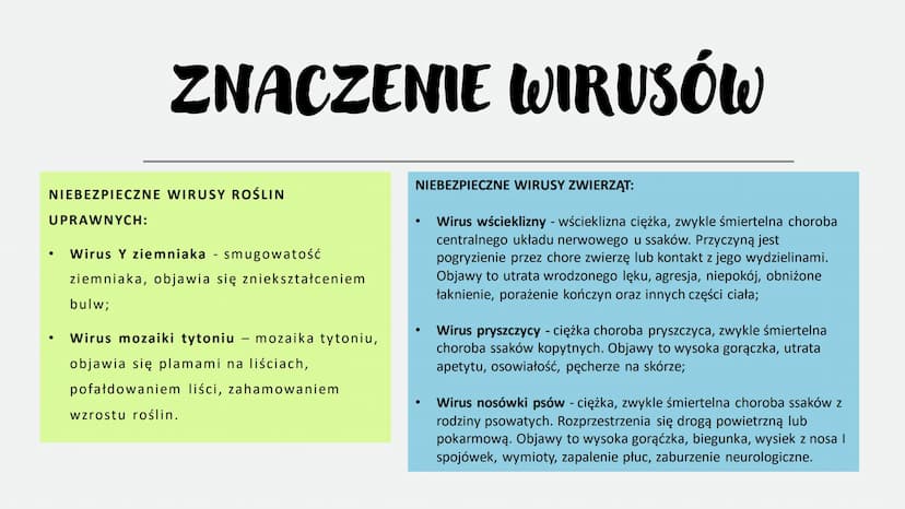 WIRUSY -
MOLEKULARNE
PASOŻYTY
BEZKOMÓRKOWE
CZYNNIKI ZAKAŹNE
766
Scers
M CO TO WIRUSY?
To czynniki zakaźne zbudowane z białek i kwasów
nuklei