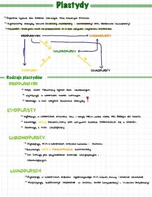 Know Chloroplasty (plastydy) thumbnail