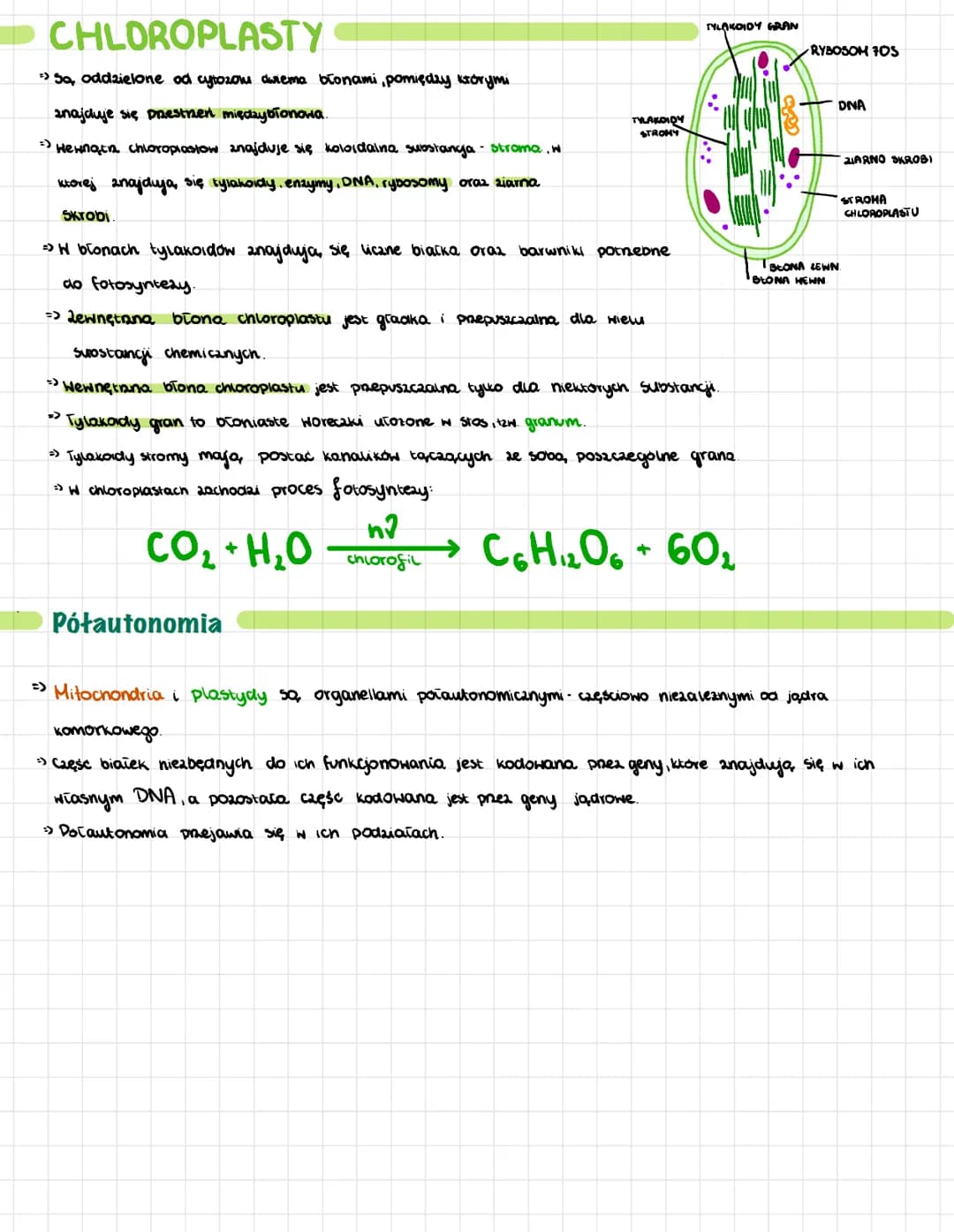 →Organella typowe dla komorek roślinnych oraz niektorych protistow.
=> Wyrozniamy plastydy barwne letioplasty, chloroplasty i chromoplasty) 