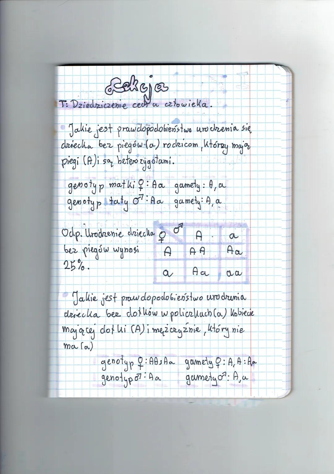Rekoja
T: Dziedziczenie ced a człowieka.
Jakie jest prawdopodobieństwo urodzenia się
dziecka bez piegów (a) rodzicom, którzy mają
piegi (A) 
