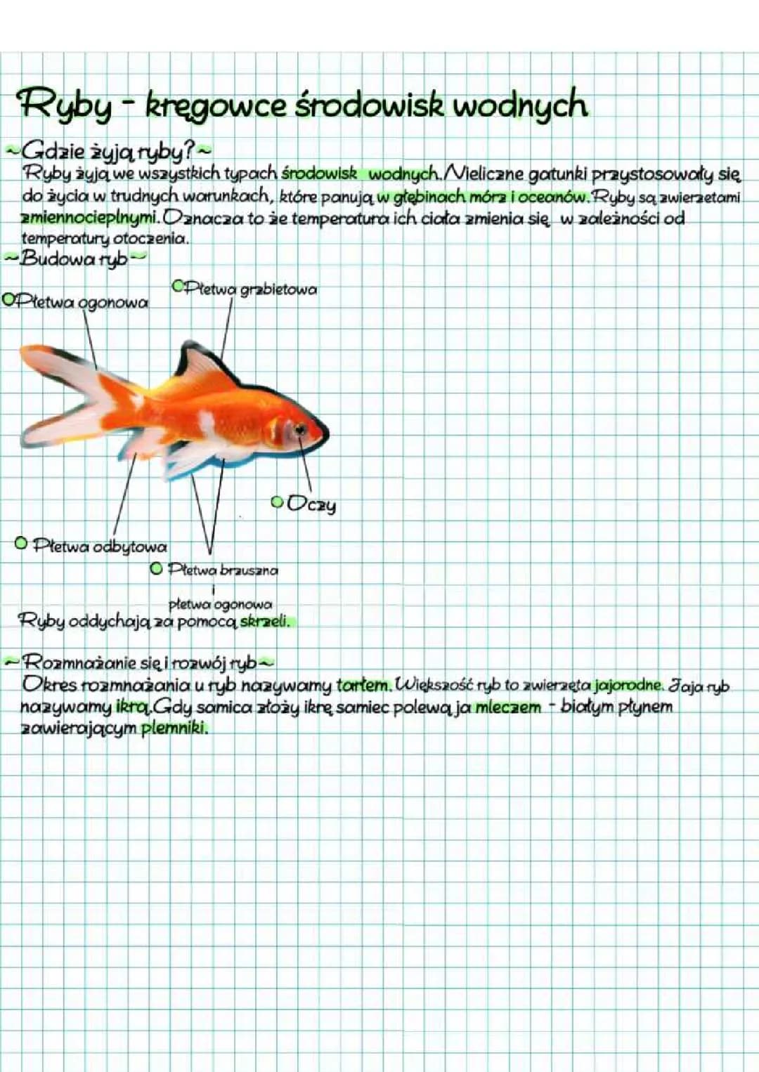 Biologia - Ryby - kręgowce środowisk wodnych