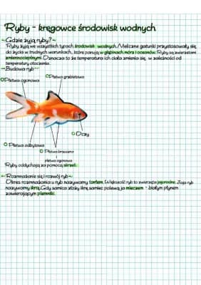 Know Biologia - Ryby - kręgowce środowisk wodnych thumbnail