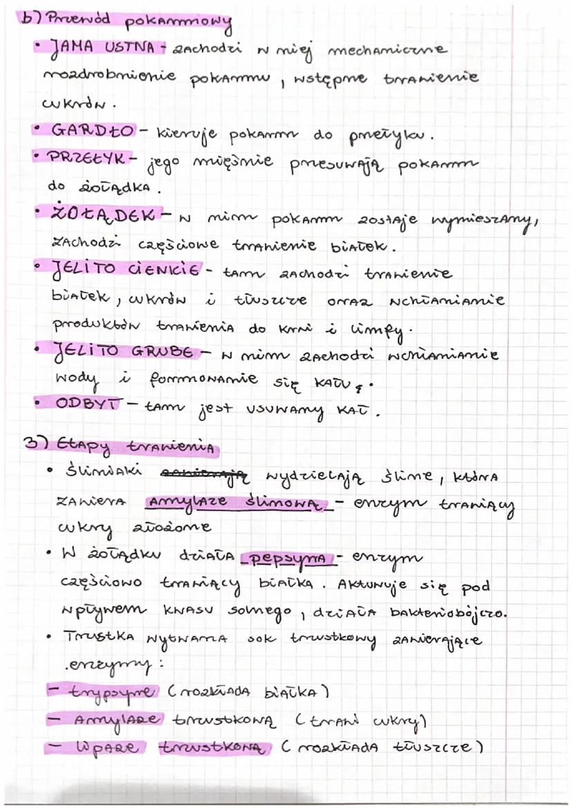 (1
●
ما5
Budowa
(1) Uzębienie
• 20 bębów mlecznych i 32 zębów stałych
Siekacze - 8
Trzomowe
saklino
kay - 4
Przedtromowe 8
BIOLOGIA UkiAdu p