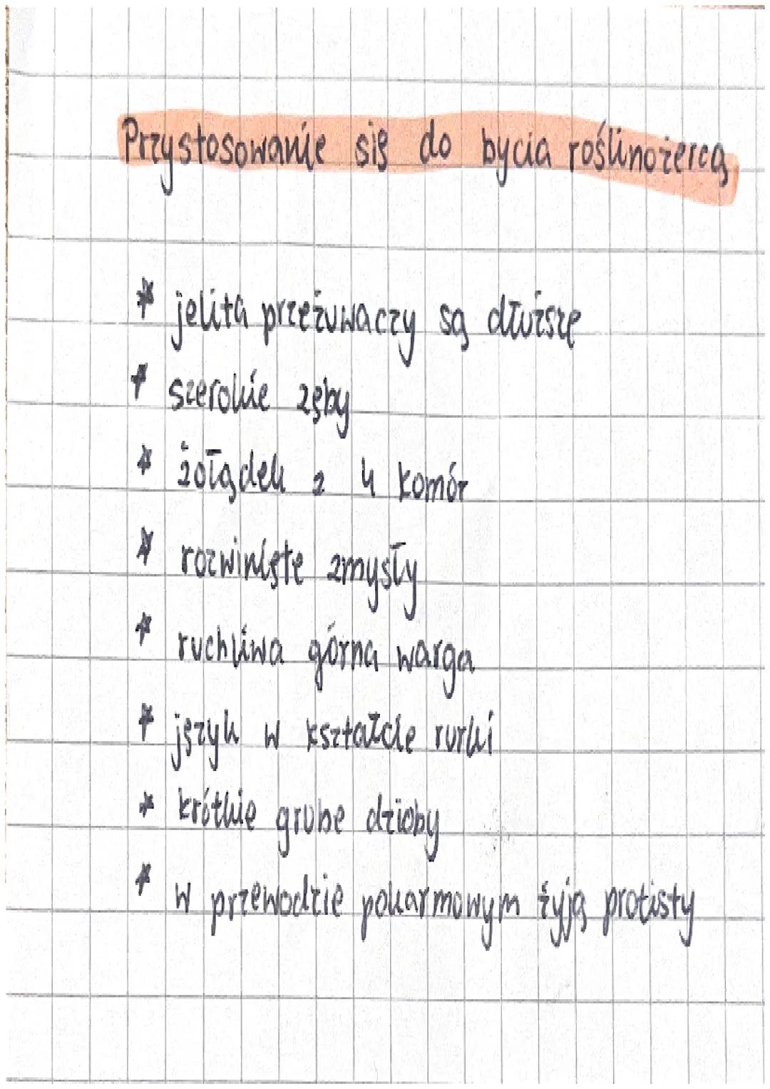 Drapieżnictwo i roślinożerność
2
Drapieżnictwo jedna
drapieżniu odnosi korzyści
Roślinozerstwo
znaczenie drapieżników

antagonicznych zależn