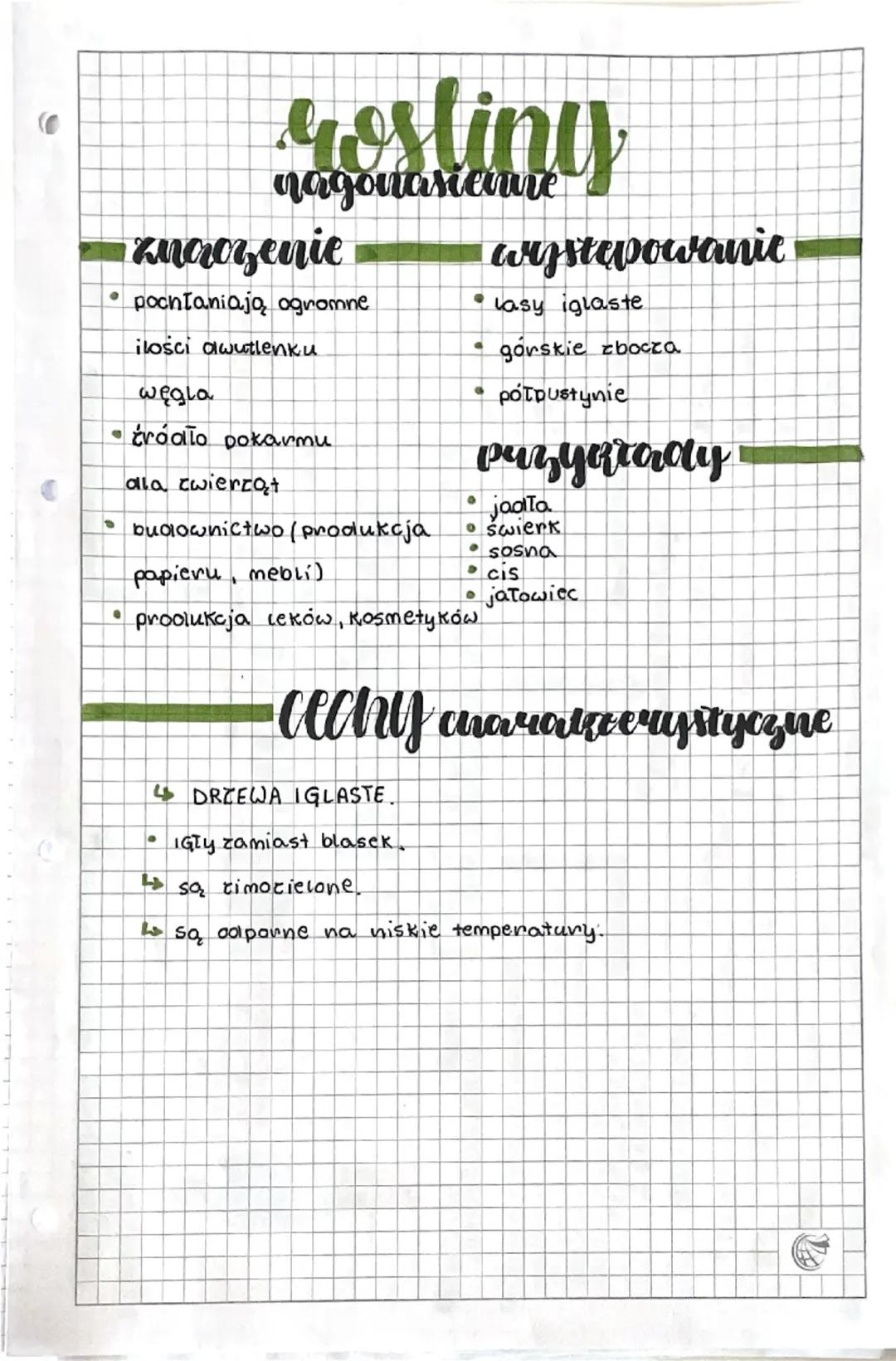Rośliny nagonasienne 