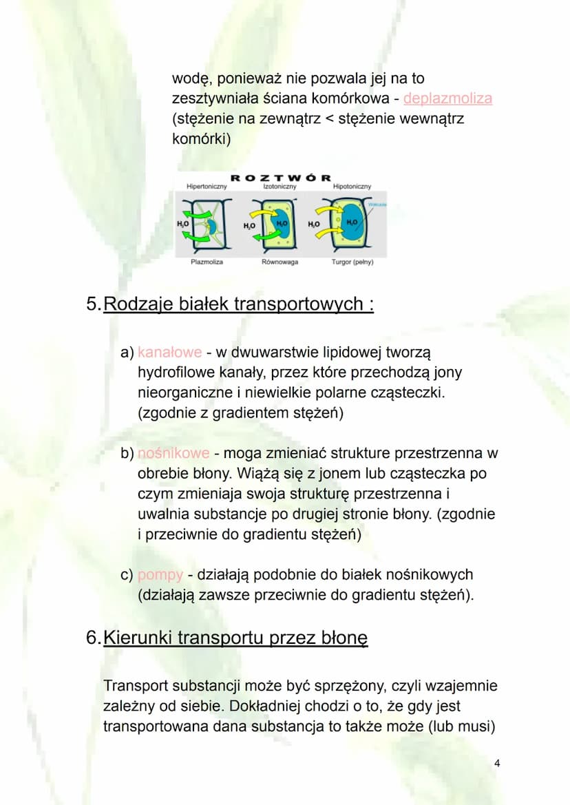 
<h2 id="transportbiernyiczynny">Transport bierny i czynny</h2>
<p>Transport bierny i czynny obejmuje ruch substancji przez błonę komórkową 