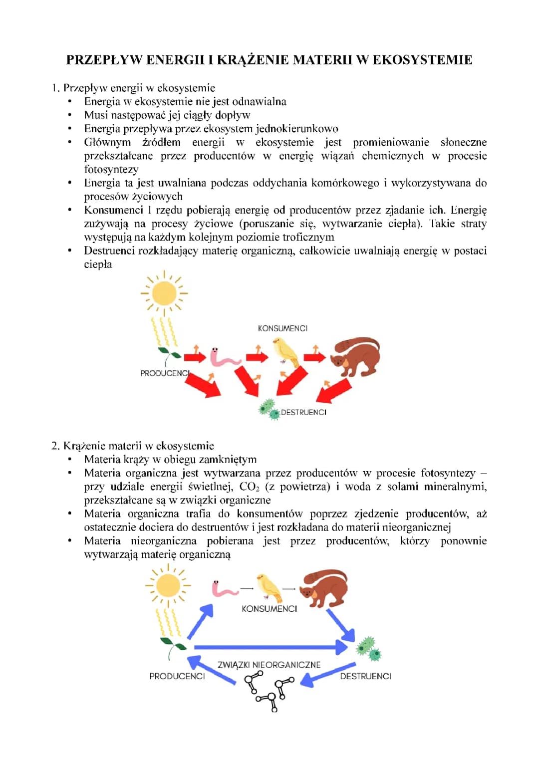 Przepływ energii i krążenie materii w ekosystemie