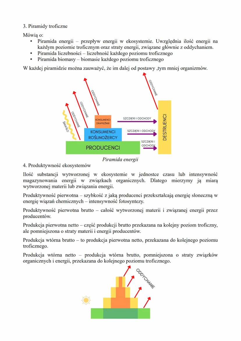 PRZEPŁYW ENERGII I KRĄŻENIE MATERII W EKOSYSTEMIE
1. Przepływ energii w ekosystemie
●
●
●
Energia w ekosystemie nie jest odnawialna
Musi nas