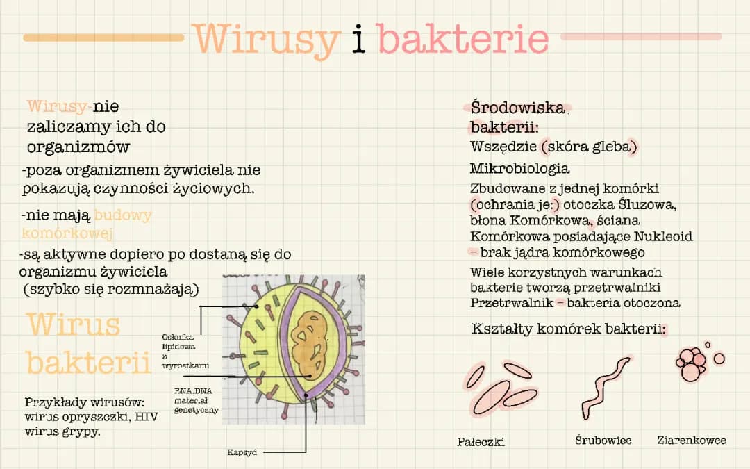 Wirusy i bakterie🦠