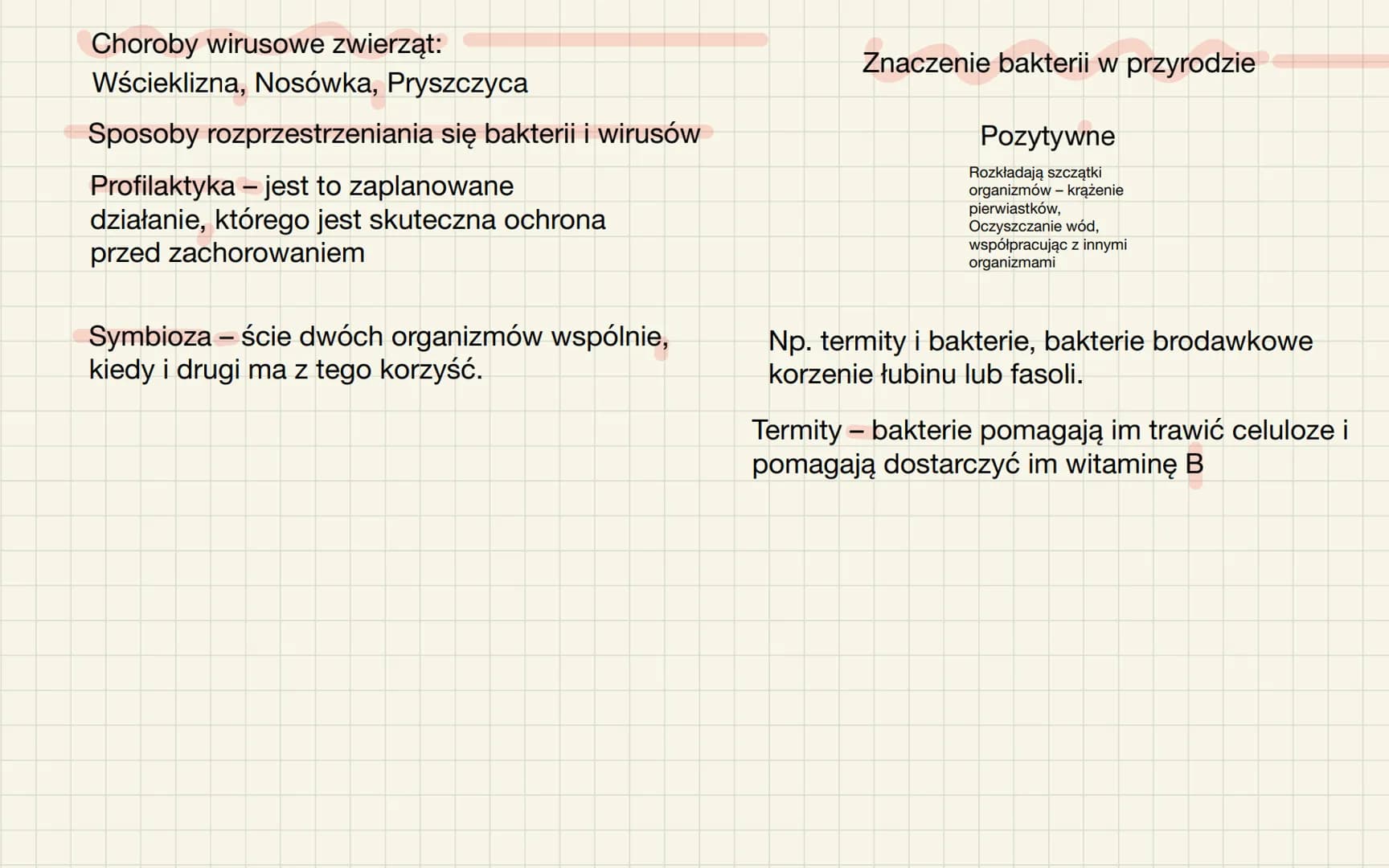 Wirusy-nie
zaliczamy ich do
organizmów
-poza organizmem żywiciela nie
pokazują czynności życiowych.
-nie mają budowy
komórkowej
Wirusy i bak