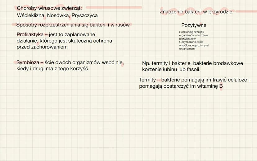 Wirusy-nie
zaliczamy ich do
organizmów
-poza organizmem żywiciela nie
pokazują czynności życiowych.
-nie mają budowy
komórkowej
Wirusy i bak