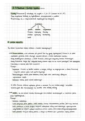 Know 2. Chemiczne podstawy życia; 2.3. Budowa i funkcje lipidów  thumbnail