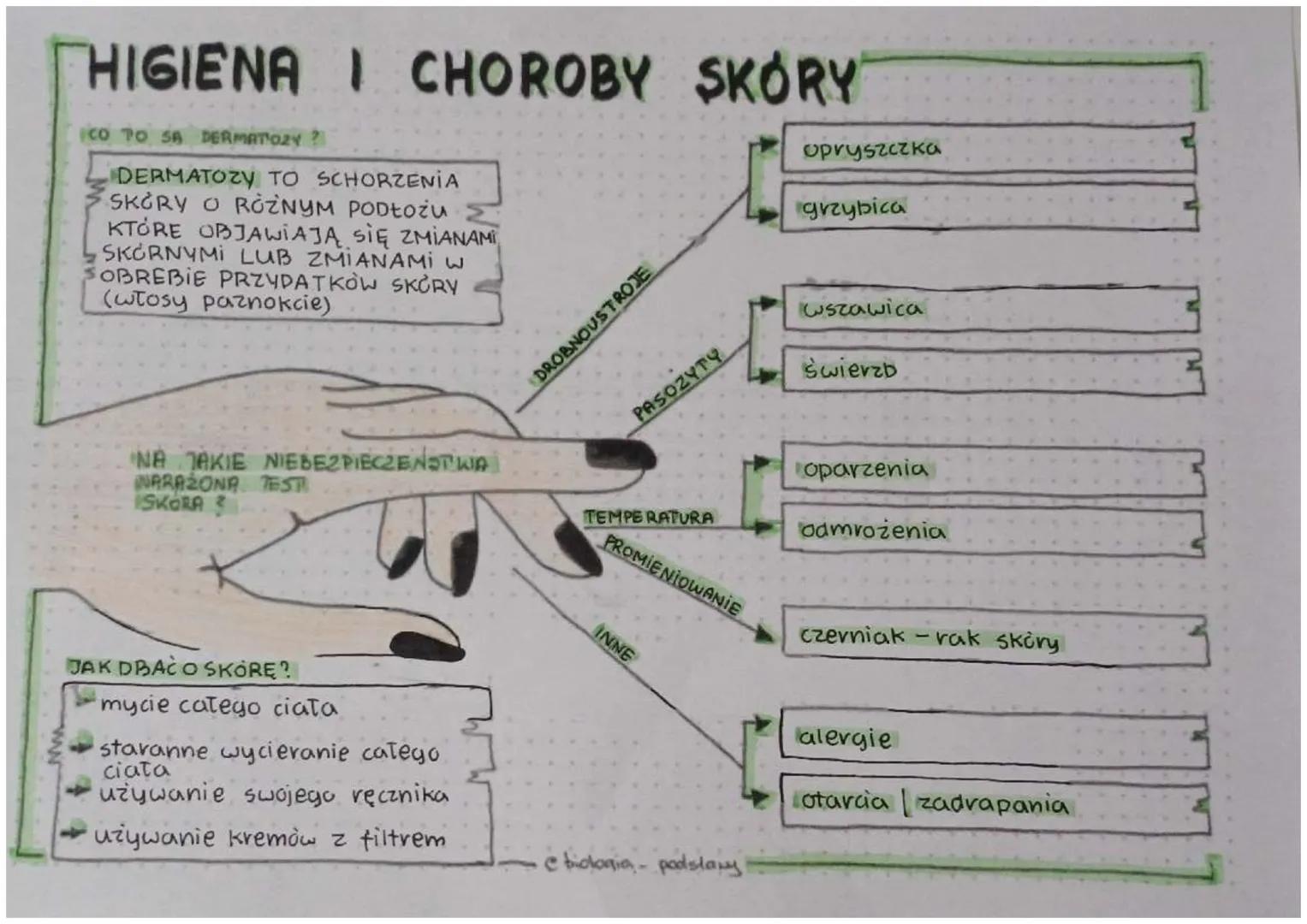 HIGIENA I CHOROBY SKÓRY
CO TO SA DERMATOZY?
DERMATOZY TO SCHORZENIA
SKORY O ROZNYM PODŁOŻu
KTÓRE OBJAWIAJĄ SIĘ ZMIANAMI
SKÖRNYMI LUB ZMIANAM