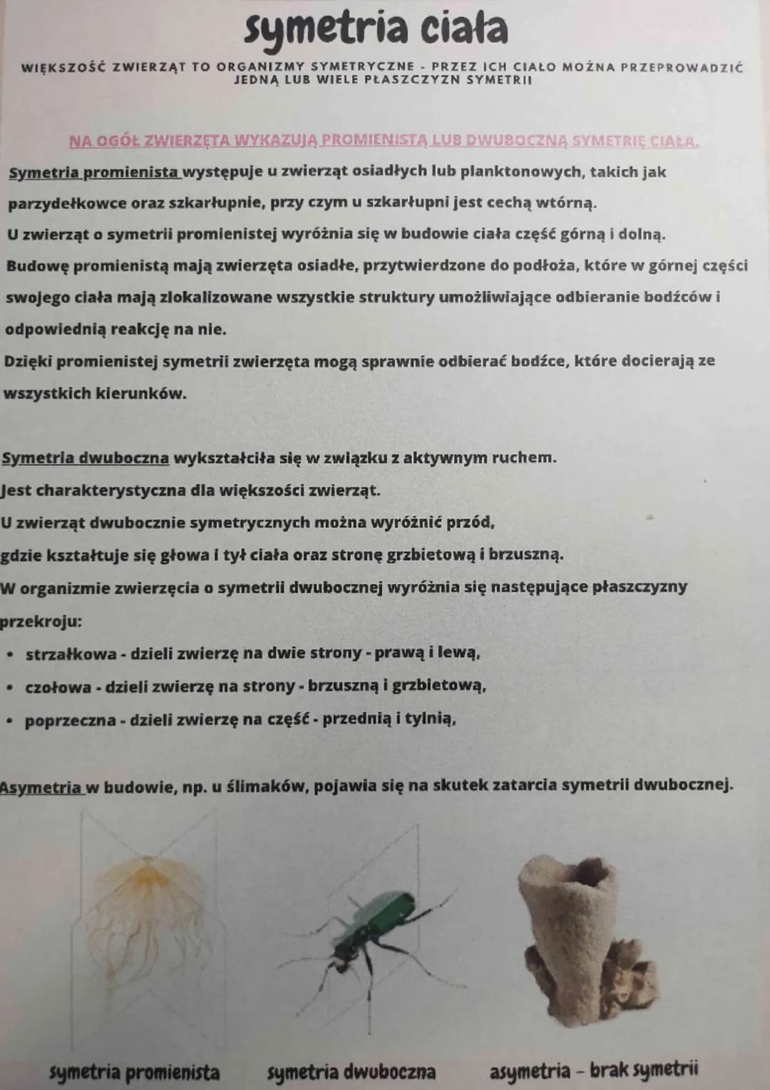 
<p>Ważne cechy tych organizmów</p>
<p>Ich komórki nie posiadają ściany komórkowej, ale zawierają lizosomy, które odpowiadają za procesy tra