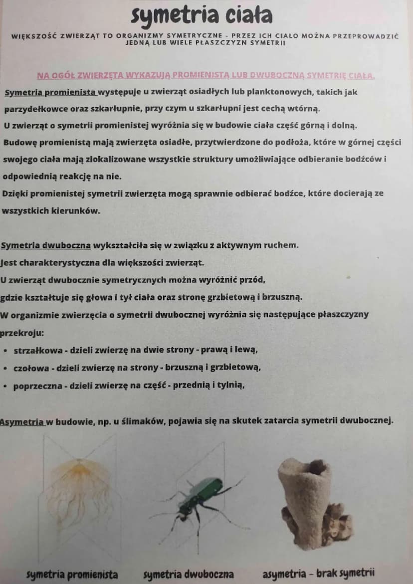 
<p>Ważne cechy tych organizmów</p>
<p>Ich komórki nie posiadają ściany komórkowej, ale zawierają lizosomy, które odpowiadają za procesy tra