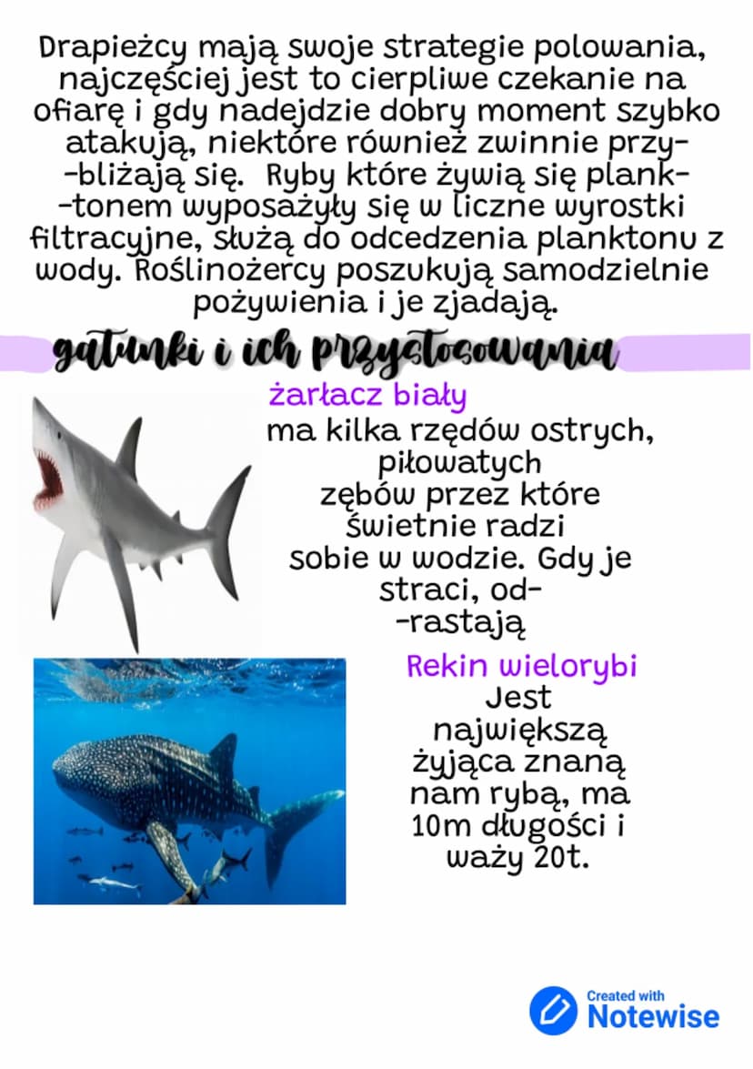 Przeglad & graczanie
ryb
kestalty ciala
Dlaczego ryby mają inne kształty ciała?
dzieje się tak ponieważ zamieszkują różne
typy środowisk wod