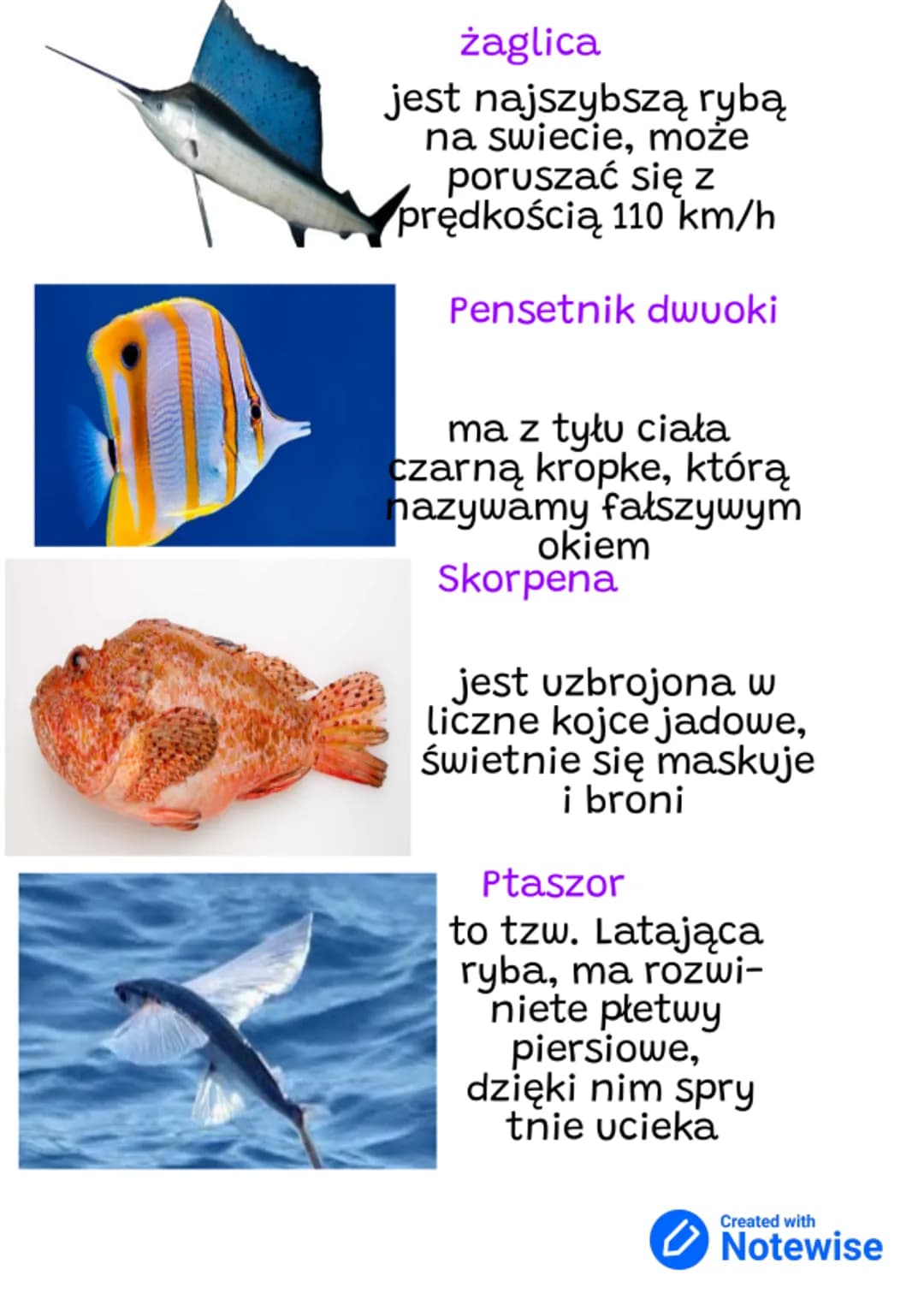 Przeglad & graczanie
ryb
kestalty ciala
Dlaczego ryby mają inne kształty ciała?
dzieje się tak ponieważ zamieszkują różne
typy środowisk wod