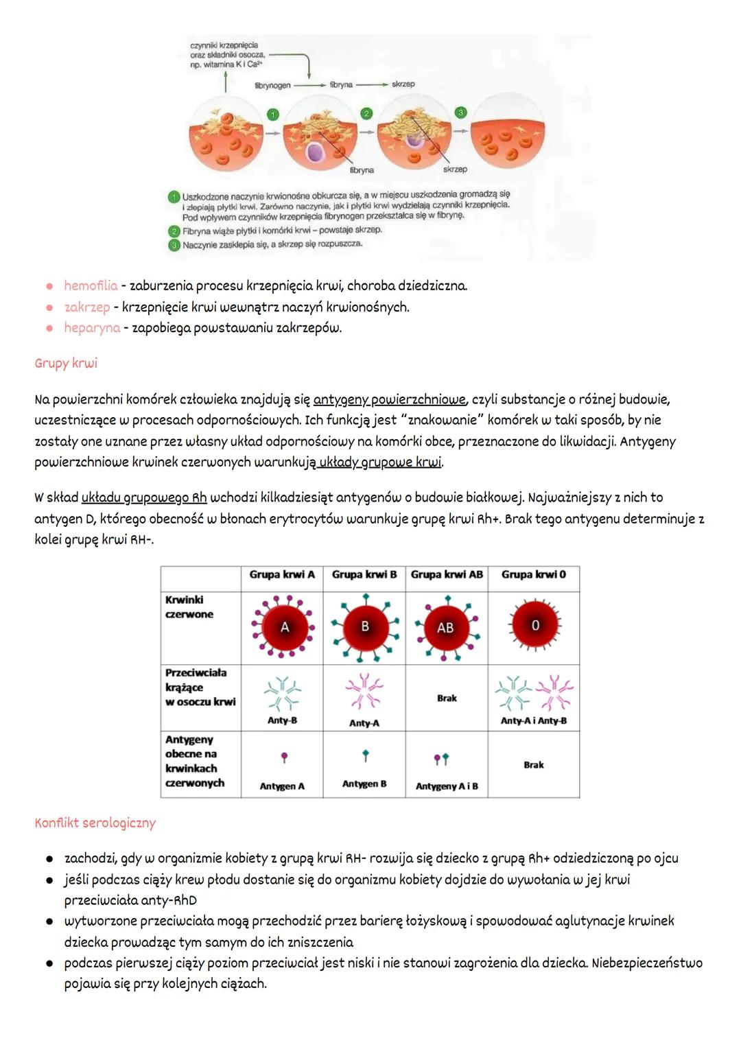 # skład i funkcje krwi

Krew jest tkanką płynną, która u człowieka krąży w zamkniętym systemie naczyń krwionośnym. Jej całkowita
objętość w 