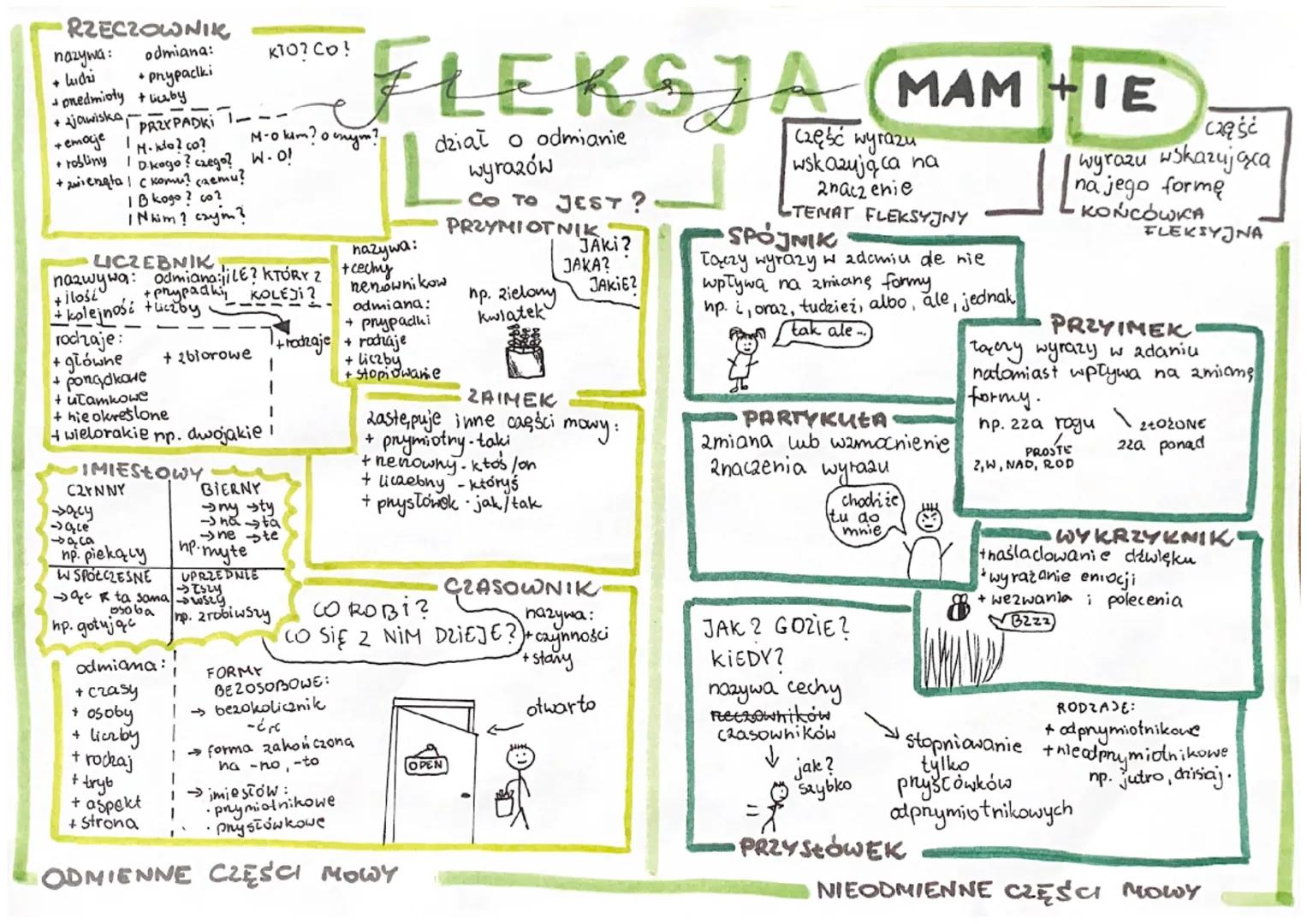 # FLEKSJA MAM + IE

RZECZOWNIK

nazywa:

*   ludzi

*   predmioty

*   zjawiska

*   emocje

*   robliny

*   zienęta

odmiana:

*   prypack