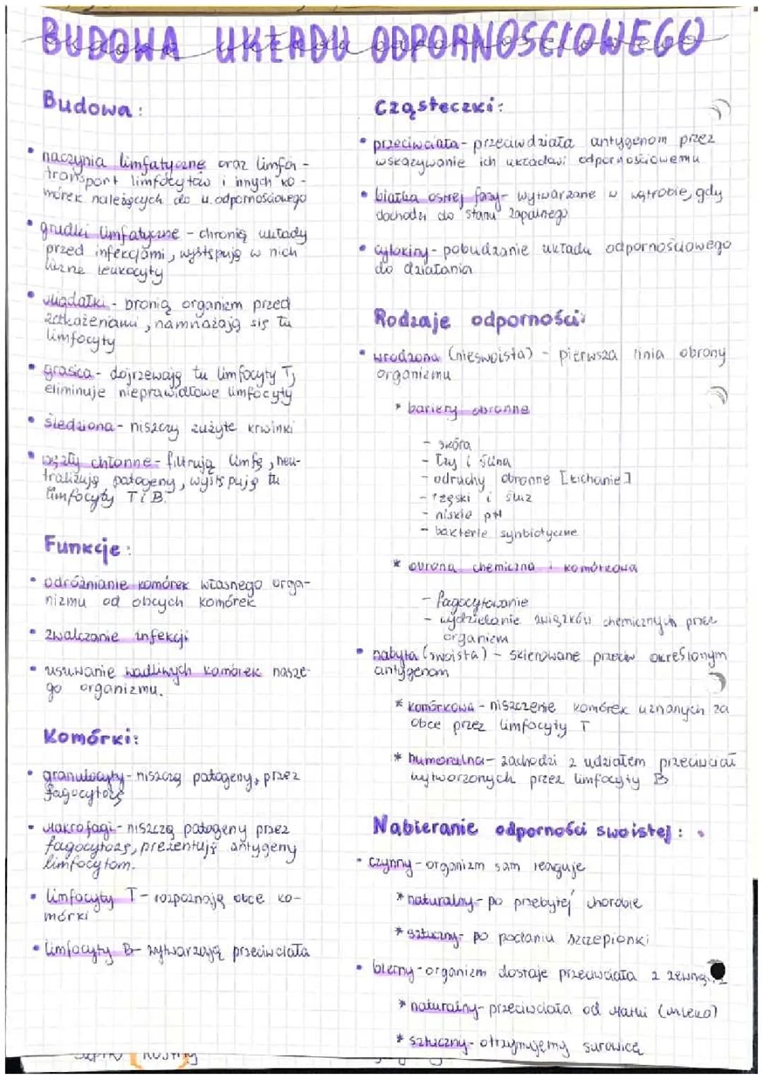 Układ Odpornościowy - budowa i funkcje klasa 2 ponadpostawowa (biologia podstawowa)