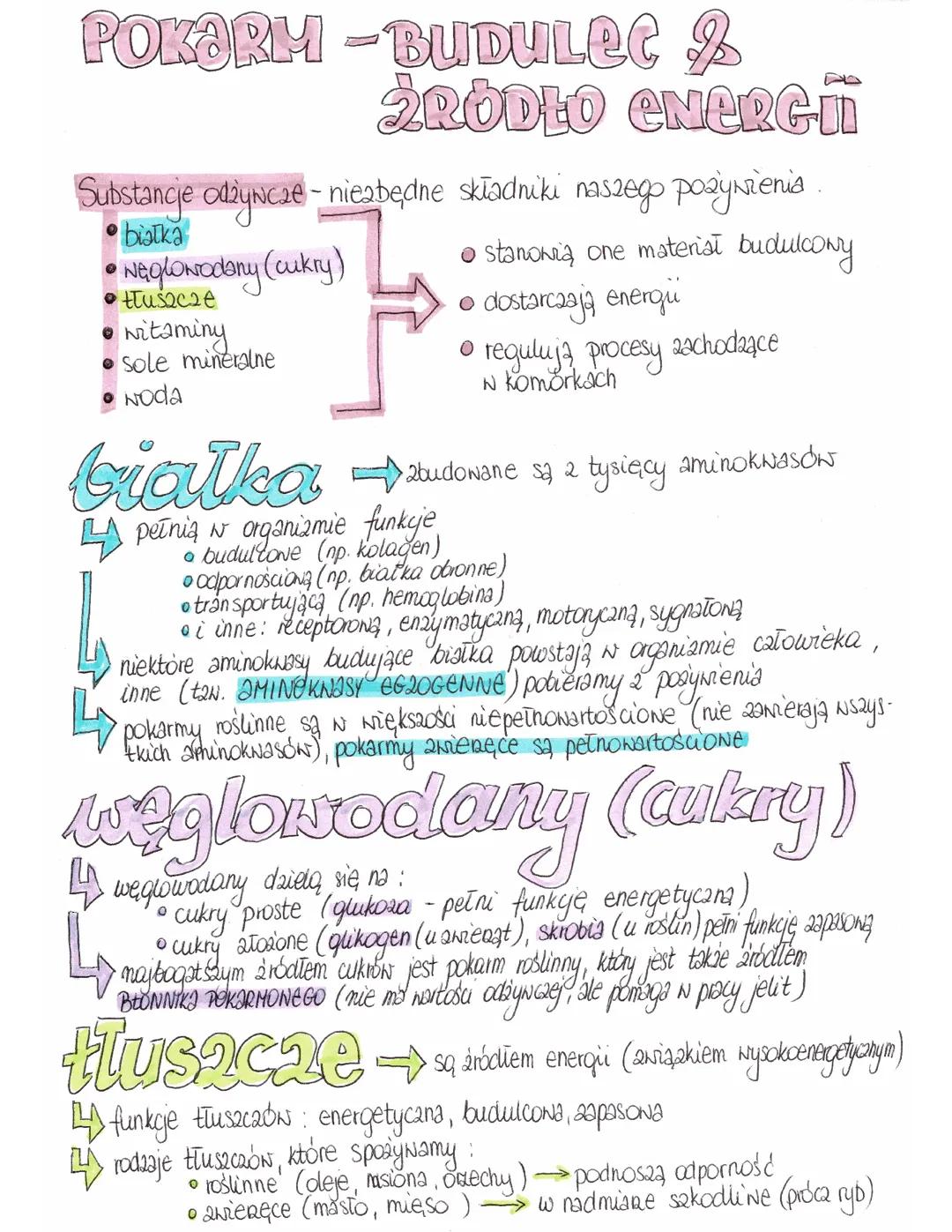 Pokarm - budulec i źródło energii