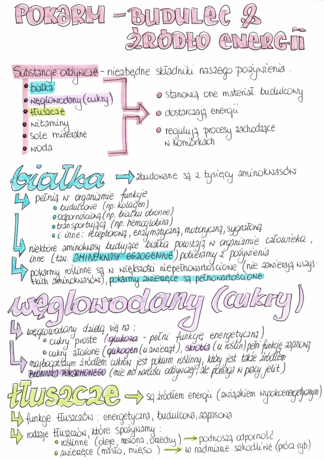 POKARM -BUDULEC 2
RÓDŁO ENERGI
Substancje odżywcze - niezbędne składniki naszego pozywienia
białka
• Na glowodany (cukry)
• tłuszcze
witamin