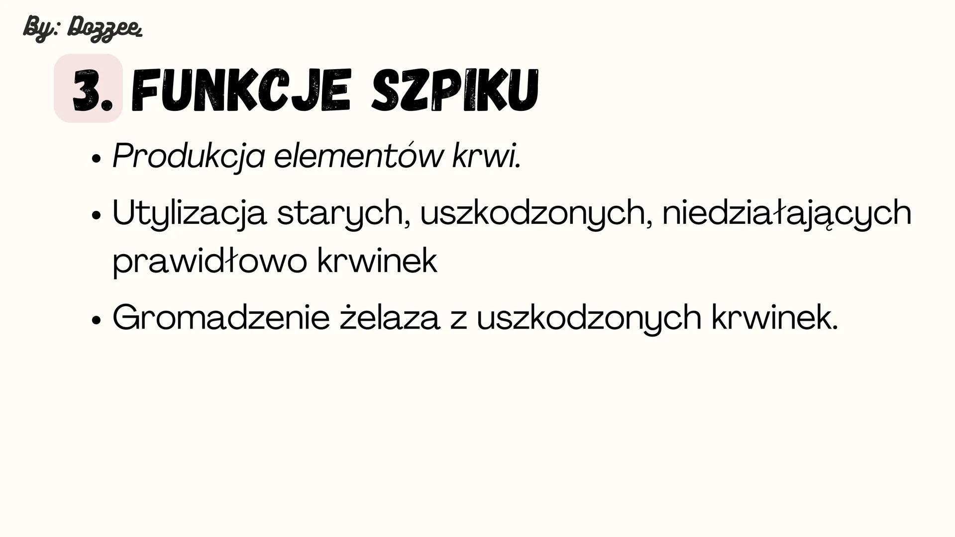 By: Dozzee
BUDOWA KOŚCI
DŁUGIEJ By: Dozzee
1. BUDOWA ZEWNĘTRZNA
Trzon
·Nasada By: Dozzee
2. BUDOWA WEWNĘTRZNA
Szpik kostny
czerwony
okostna
