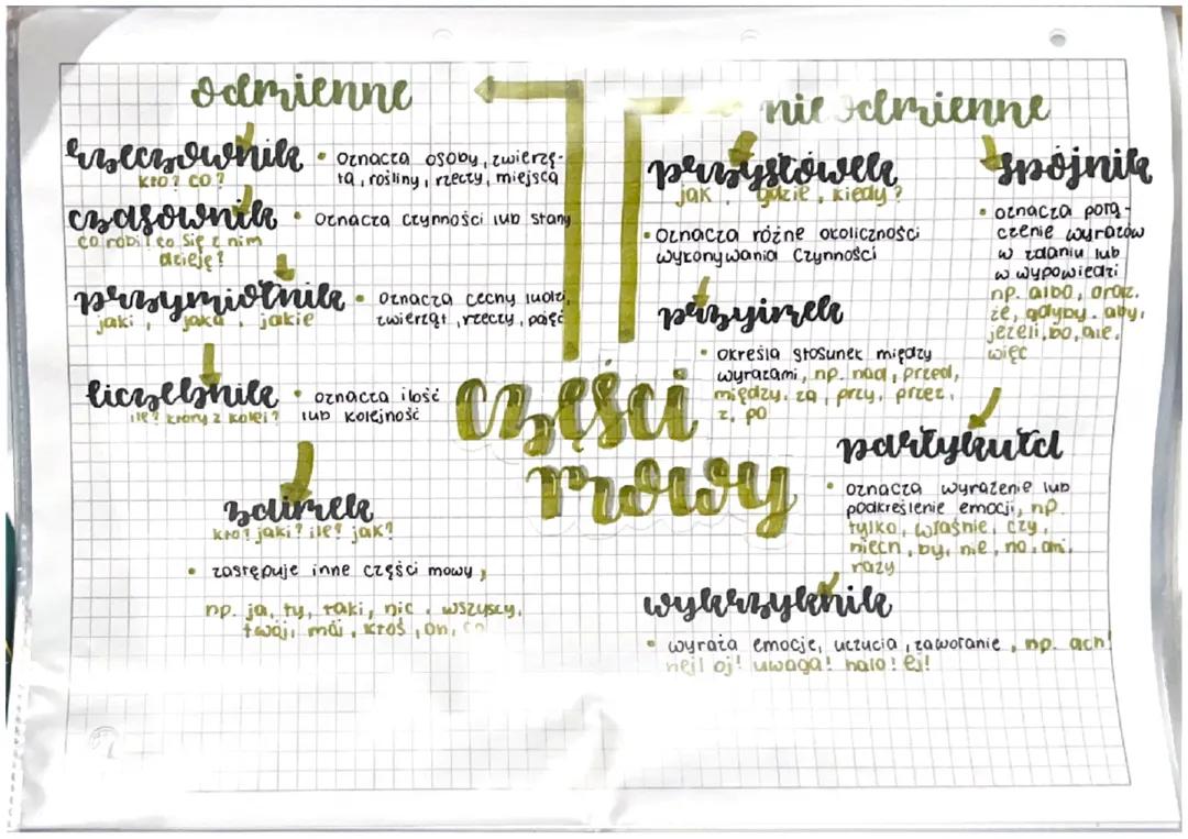 Części Mowy - Notatka z Języka Polskiego
