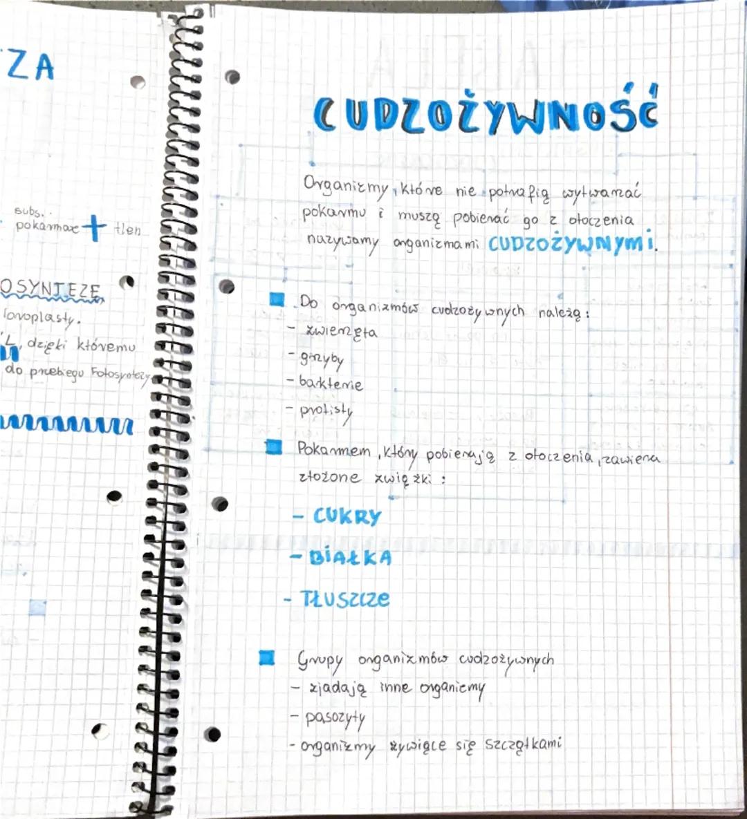 biologia
Samożywność temat 4 dział 2 5.39
Do organizmów samożywnych należą
-vośliny
-protisty
-bakterie
F
Większość z nich wytwarza pokarm d