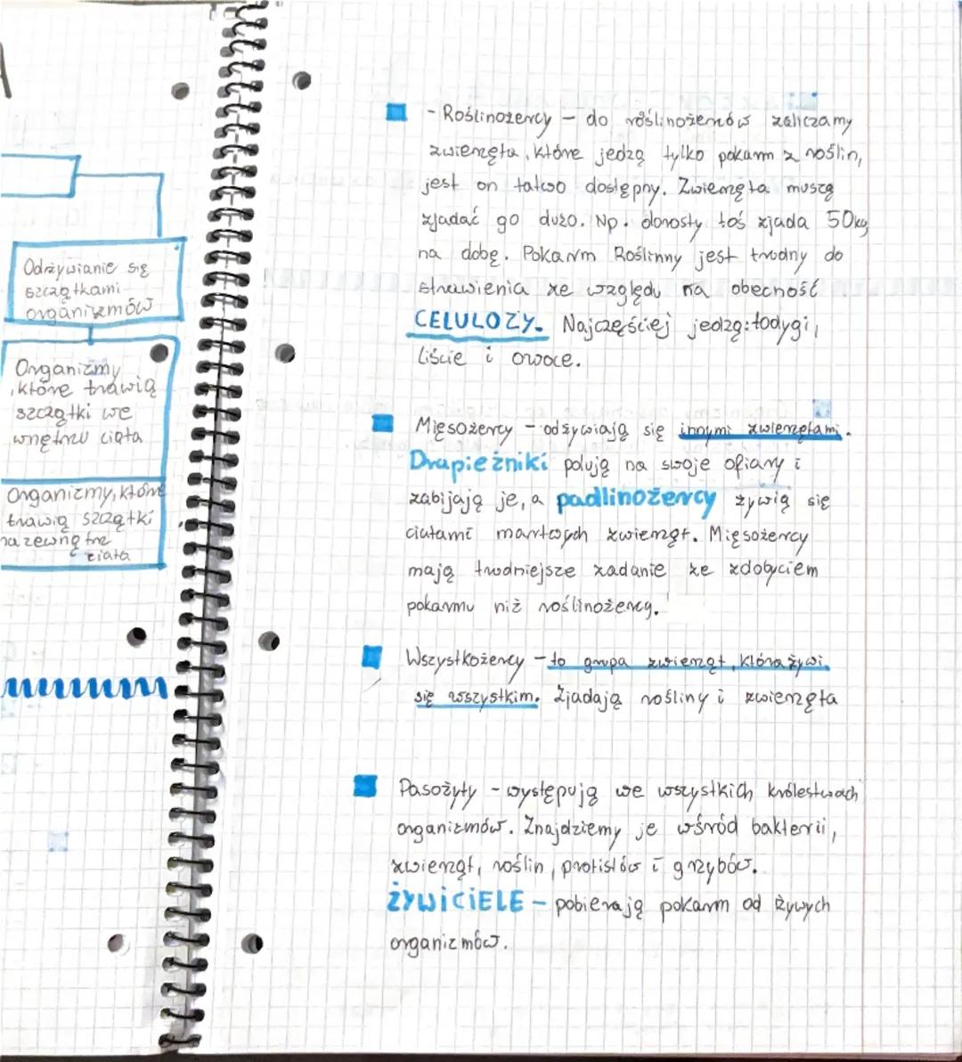 biologia
Samożywność temat 4 dział 2 5.39
Do organizmów samożywnych należą
-vośliny
-protisty
-bakterie
F
Większość z nich wytwarza pokarm d
