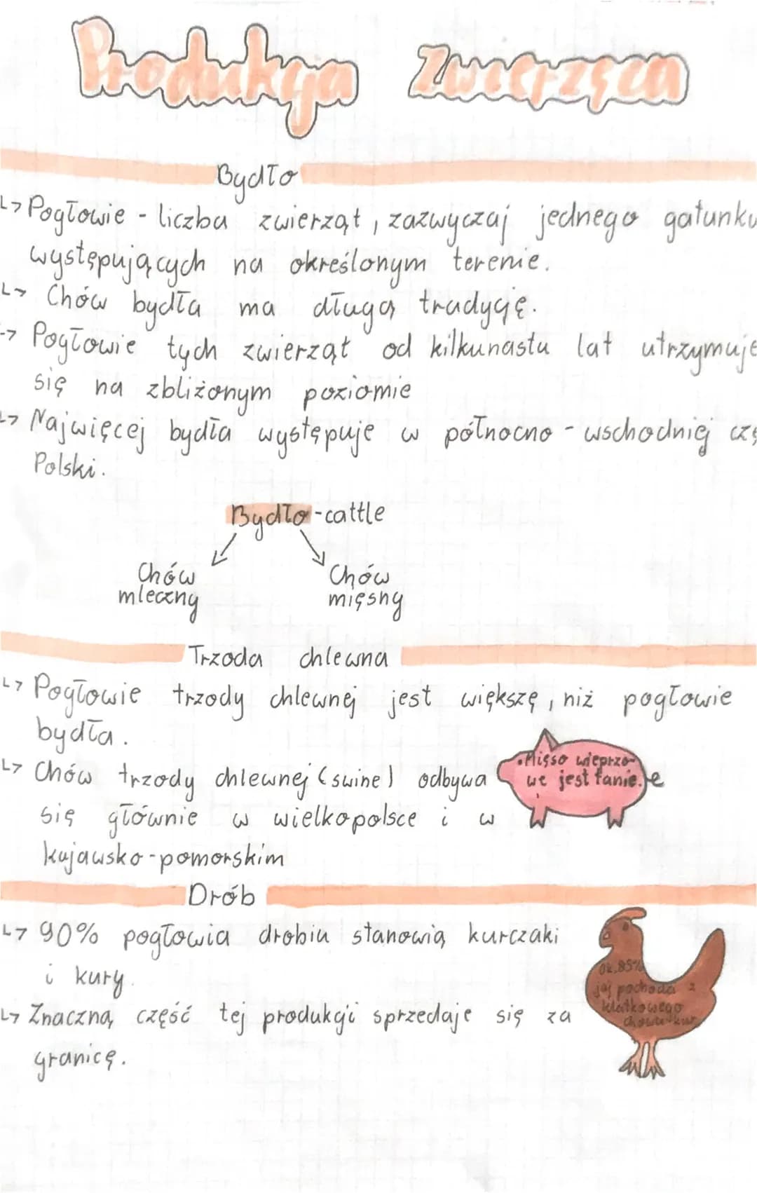 Radukyp Związyca
Bydło
1>Pogłowie - liczba zwierzął, zazwyczaj jednego gatunku
na określonym terenie.
długa tradycję.
występujących
L- Chów 
