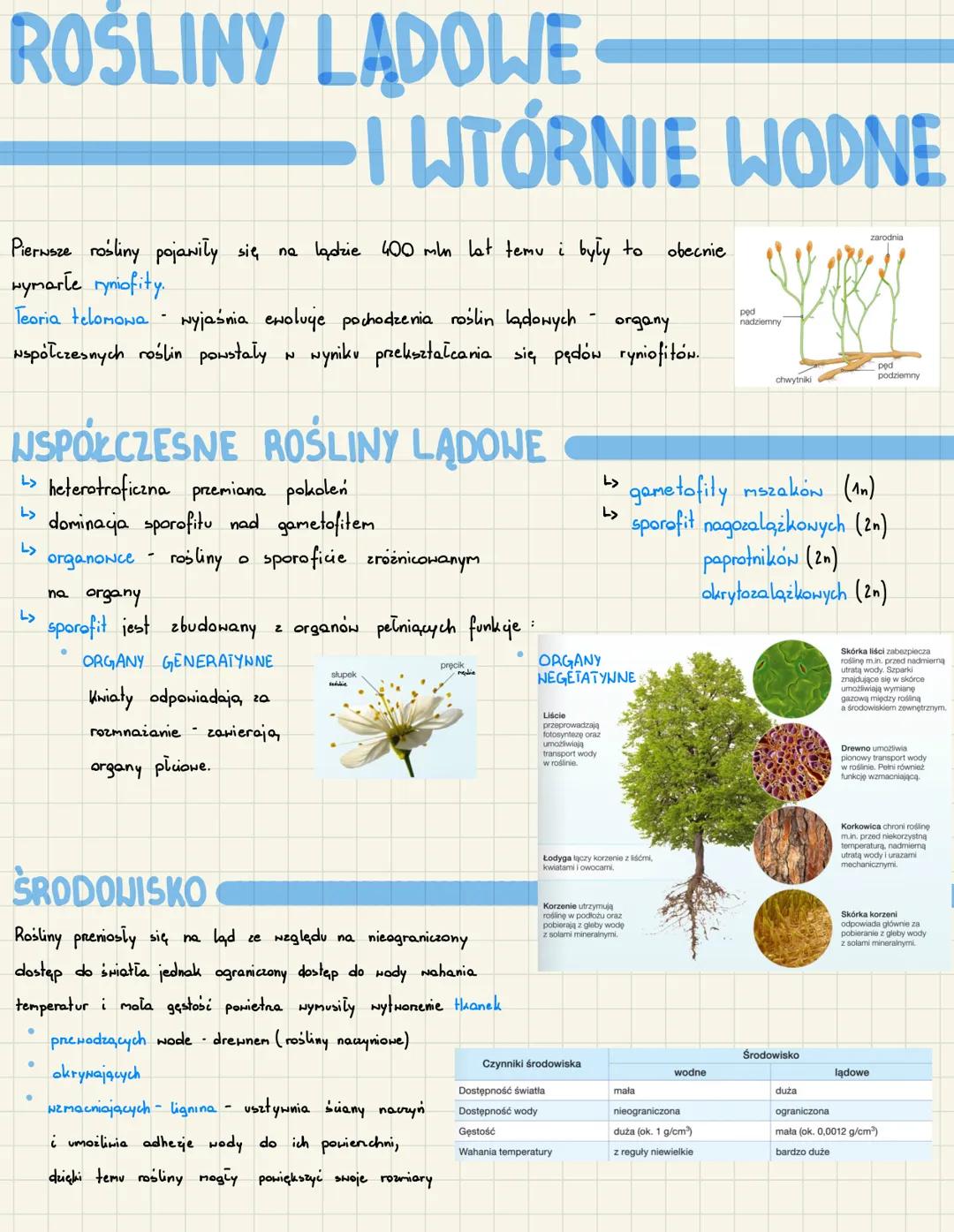 Rośliny lądowe i wtórnie wodne - Notatki i Prezentacje