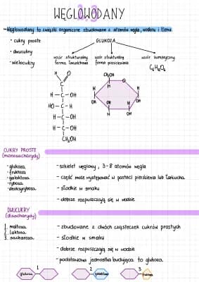 Know Węglowodany - budowa i znaczenie thumbnail