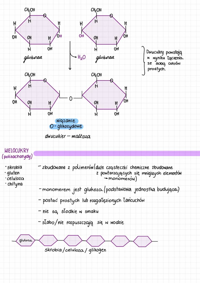 
<p>Carbohydrates are organic compounds made up of 2 atoms of carbon, hydrogen, and oxygen.</p>
<h2 id="structureofcarbohydrates">Structure 