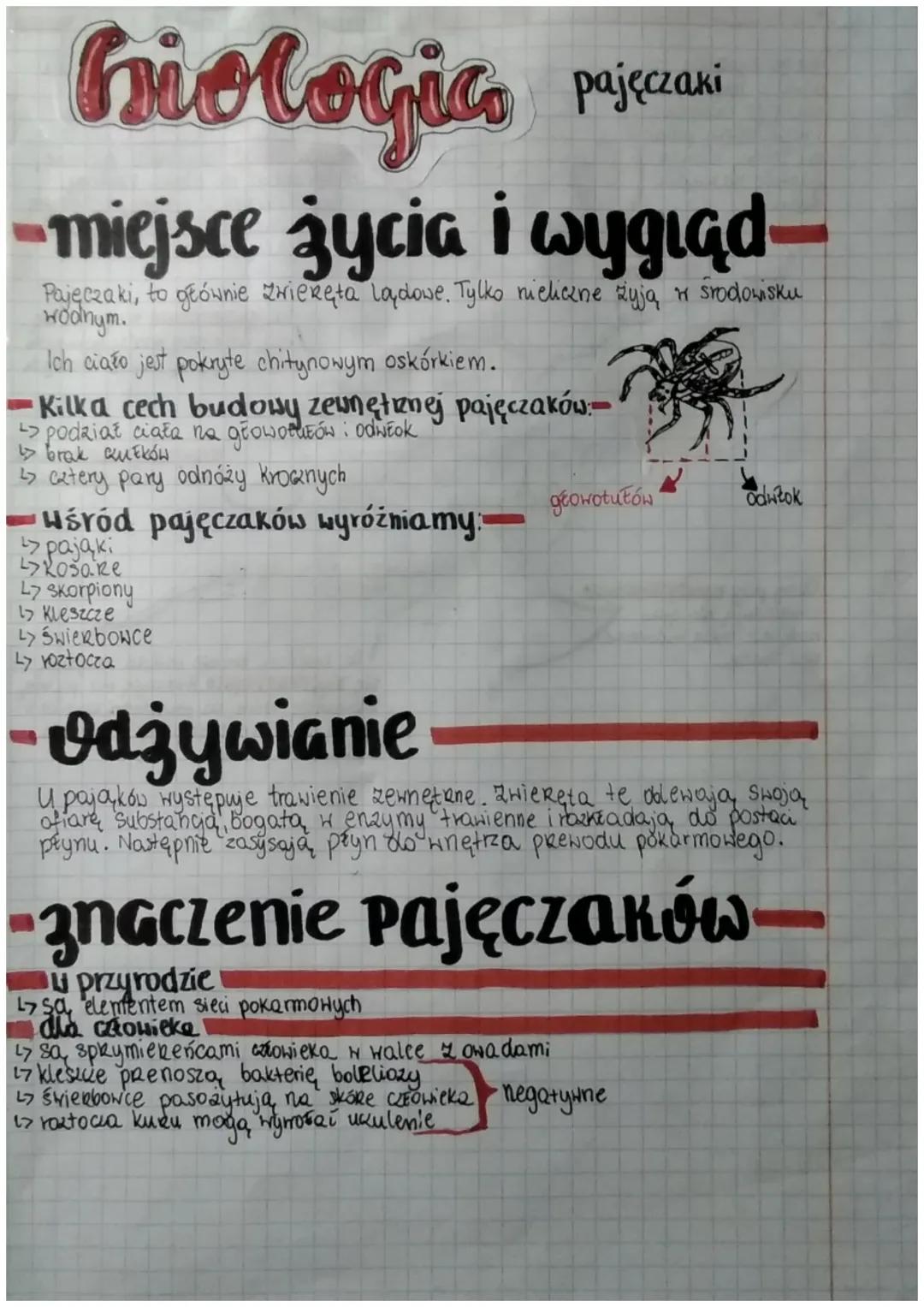 # biologics pajęczani

-miejsce życia i wygiad

Pajęczaki, to głównie zrieręta lądowe. Tylko nieliczne żyją w środowisku
wodnym.

Ich ciało 