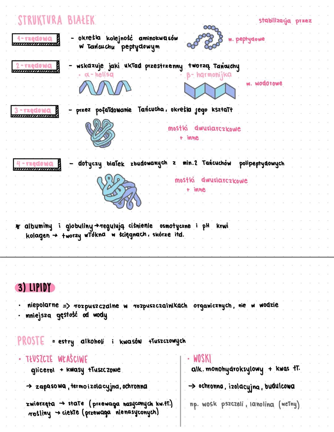 Życie i biologia organiczna: Węglowodany, białka, lipidy, kwasy nukleinowe