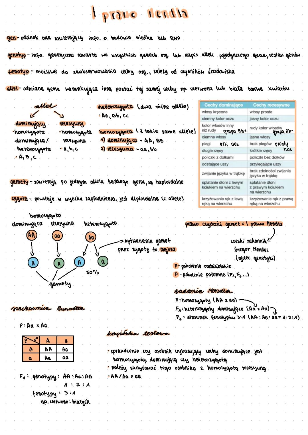Prawo Mendla w Genetyce