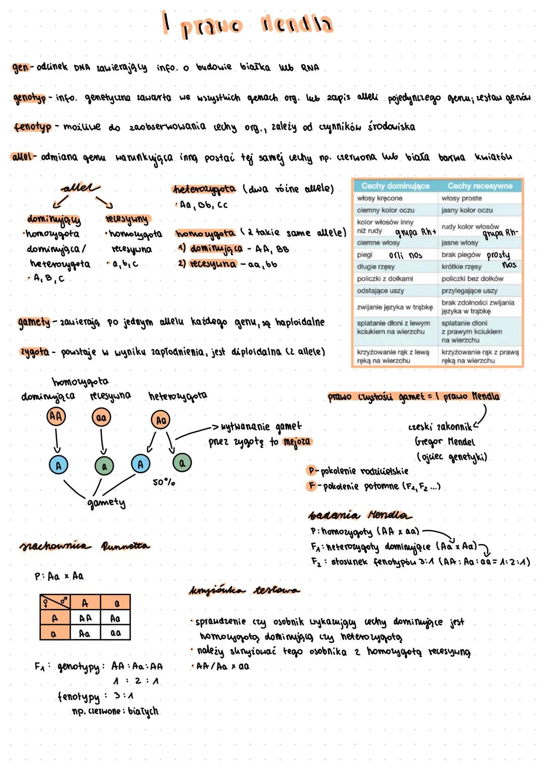 pravo Mendia
gen- odcinek DNA zawierający info. o. budowie białka web. RNA
genotyp-info. genetyczna zawarta we wszystkich genach org. lub za
